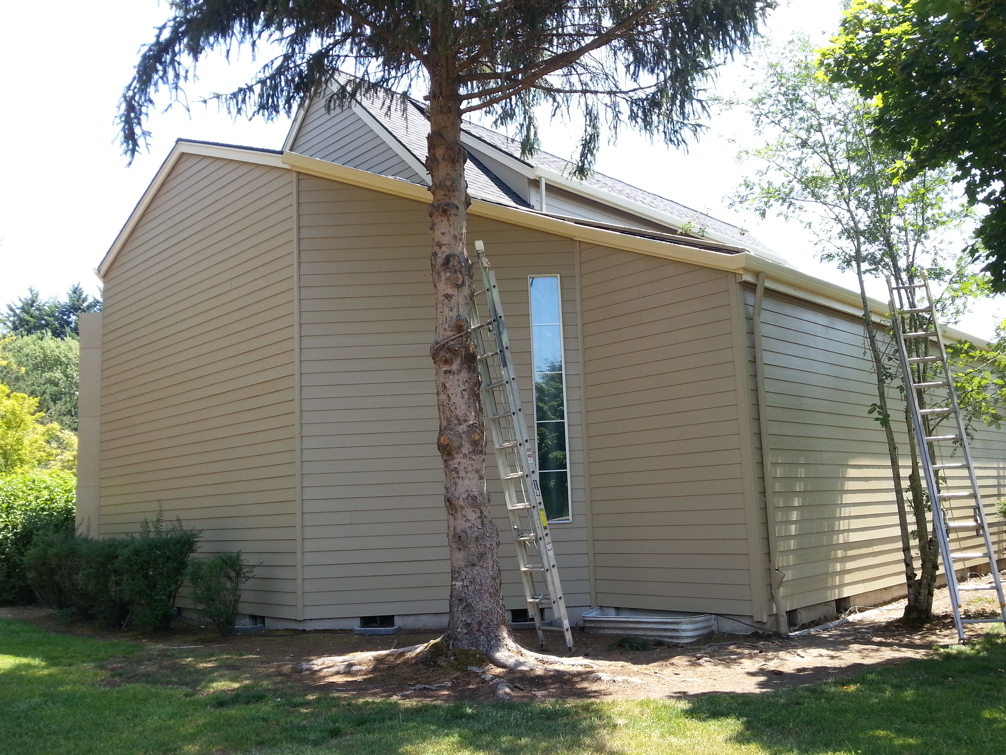 "Service, Responsible; Respect"